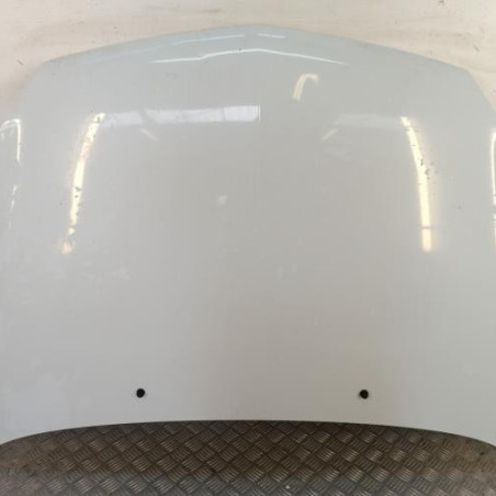 Capot RENAULT CLIO 2 Photo n°1