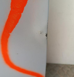 Porte de coffre droit RENAULT TRAFIC 2