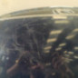 Capot HONDA ACCORD 6