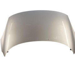 Capot RENAULT SCENIC 3 Photo n°1