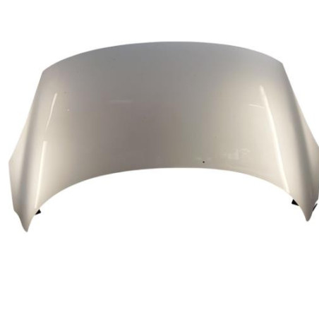 Capot RENAULT SCENIC 3 Photo n°1