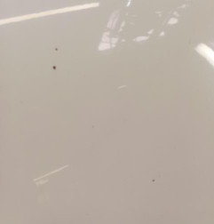 Capot VOLKSWAGEN TRANSPORTER 5 Photo n°4