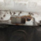 Capot VOLKSWAGEN TRANSPORTER 5