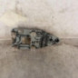Platine feu arriere droit PEUGEOT 306