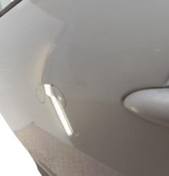 Porte arriere gauche RENAULT SCENIC 3 Photo n°7