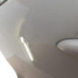 Porte arriere gauche RENAULT SCENIC 3