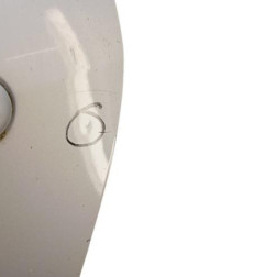 Porte arriere gauche RENAULT SCENIC 3 Photo n°8