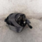 Ceinture avant gauche HYUNDAI I 20 2