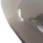 Porte avant gauche RENAULT SCENIC 3