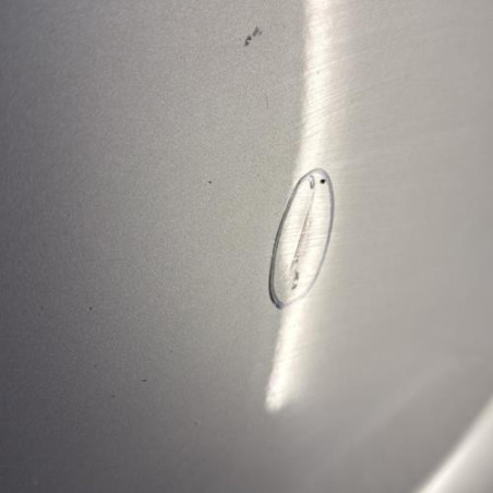 Porte laterale gauche RENAULT KANGOO 1