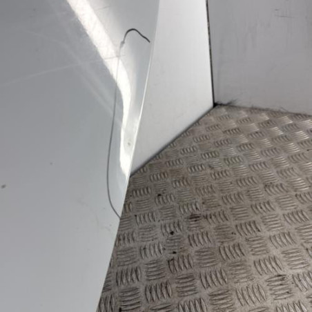Porte arriere gauche RENAULT GRAND MODUS
