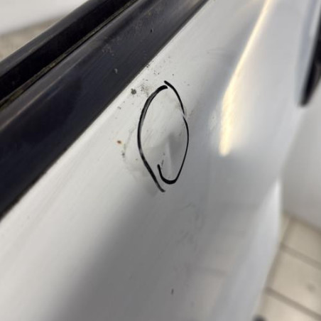 Porte avant gauche RENAULT TRAFIC 2