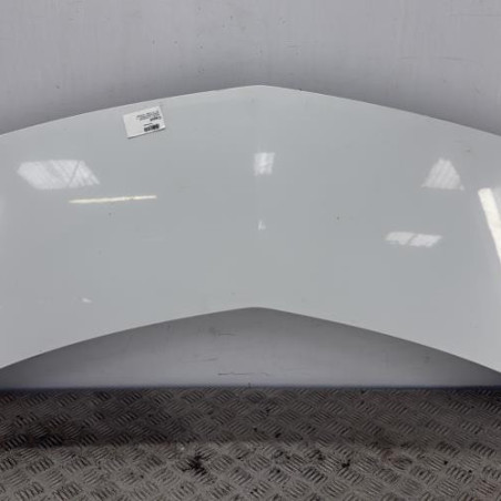 Capot RENAULT GRAND MODUS Photo n°1