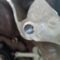 Boite de vitesses RENAULT CLIO 4