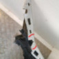 Pare choc avant PEUGEOT 307