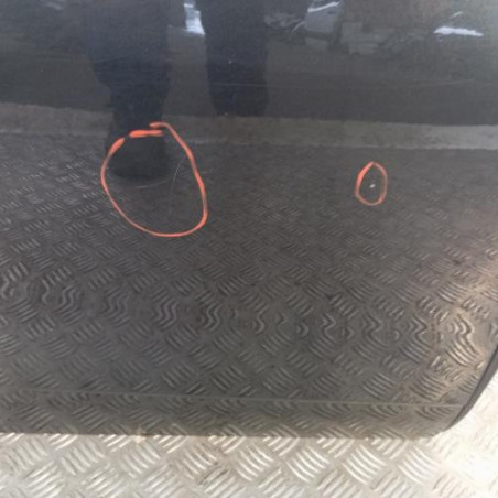 Porte arriere droit DACIA DUSTER 1
