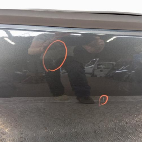 Porte avant droit DACIA DUSTER 1
