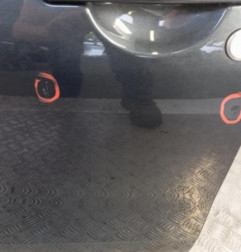 Porte avant gauche DACIA DUSTER 1