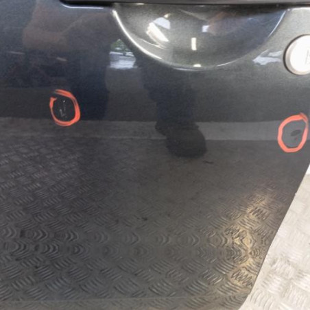 Porte avant gauche DACIA DUSTER 1