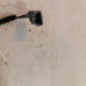 Attache ceinture arriere gauche RENAULT CLIO 4