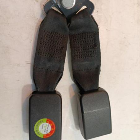 Attache ceinture arriere gauche DACIA DUSTER 1 Photo n°1