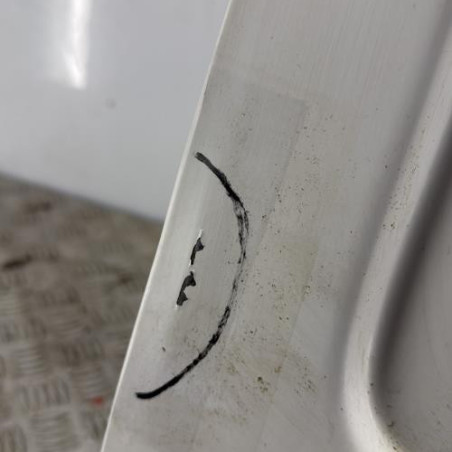 Porte de coffre gauche NISSAN NV200