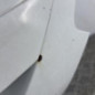 Malle/Hayon arriere FORD FOCUS 3