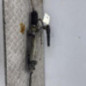 Cremaillere assistee CITROEN XSARA PICASSO