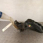Vase de lave glace CITROEN C4 1