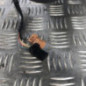 Retroviseur droit CITROEN C3 2