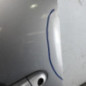 Porte avant gauche RENAULT SCENIC 3