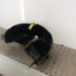 Pare boue arriere droit RENAULT CLIO 4