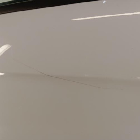 Porte arriere gauche CITROEN C3 2