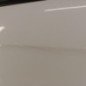 Porte arriere gauche CITROEN C3 2
