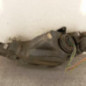 Optique avant principal droit (feux)(phare) PEUGEOT 206