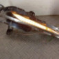 Optique avant secondaire droit (feux)(clignotant) PEUGEOT 308 2 SW