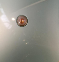 Aile avant gauche FIAT PUNTO 2 Photo n°4