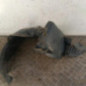 Pare boue avant droit RENAULT CLIO 2