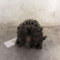 Alternateur CITROEN C3 2