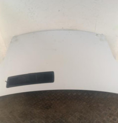 Capot RENAULT TRAFIC 2 Photo n°1
