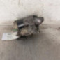 Demarreur CITROEN C4 2