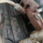 Moteur TOYOTA RAV4 3