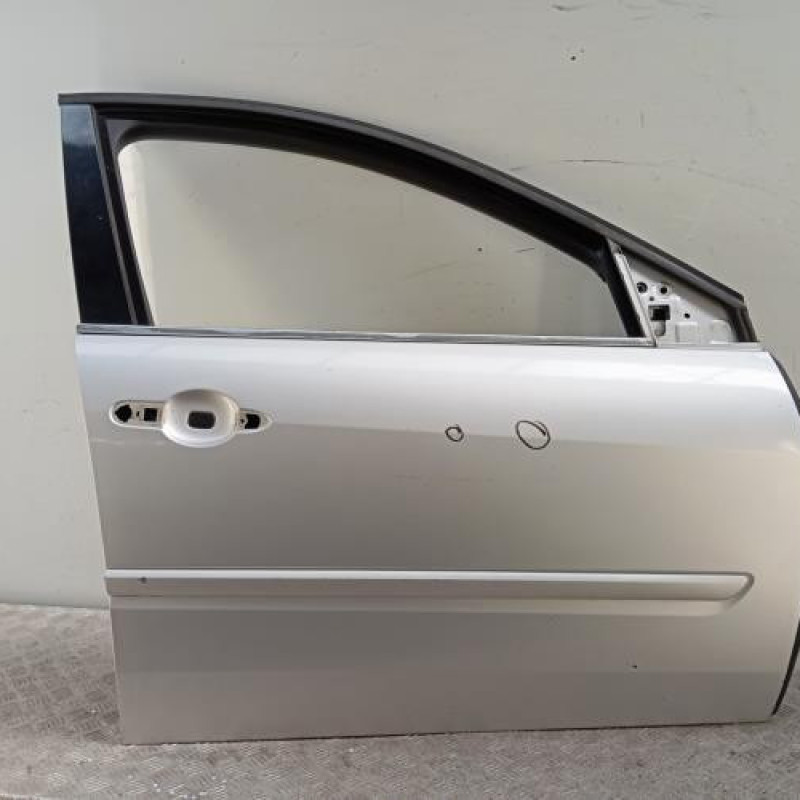 Porte avant droit RENAULT LAGUNA 3
