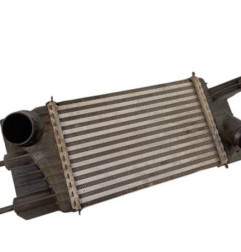 Echangeur air (Intercooler) NISSAN JUKE 1 Photo n°3