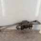 Moteur essuie glace avant FIAT DUCATO 3