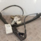 Leve vitre electrique avant gauche FORD FOCUS 1