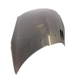 Capot PEUGEOT 206+