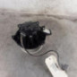 Pulseur d'air OPEL ASTRA K SPORTS