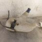 Vase de lave glace FIAT PUNTO 2
