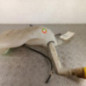 Vase de lave glace RENAULT GRAND SCENIC 3